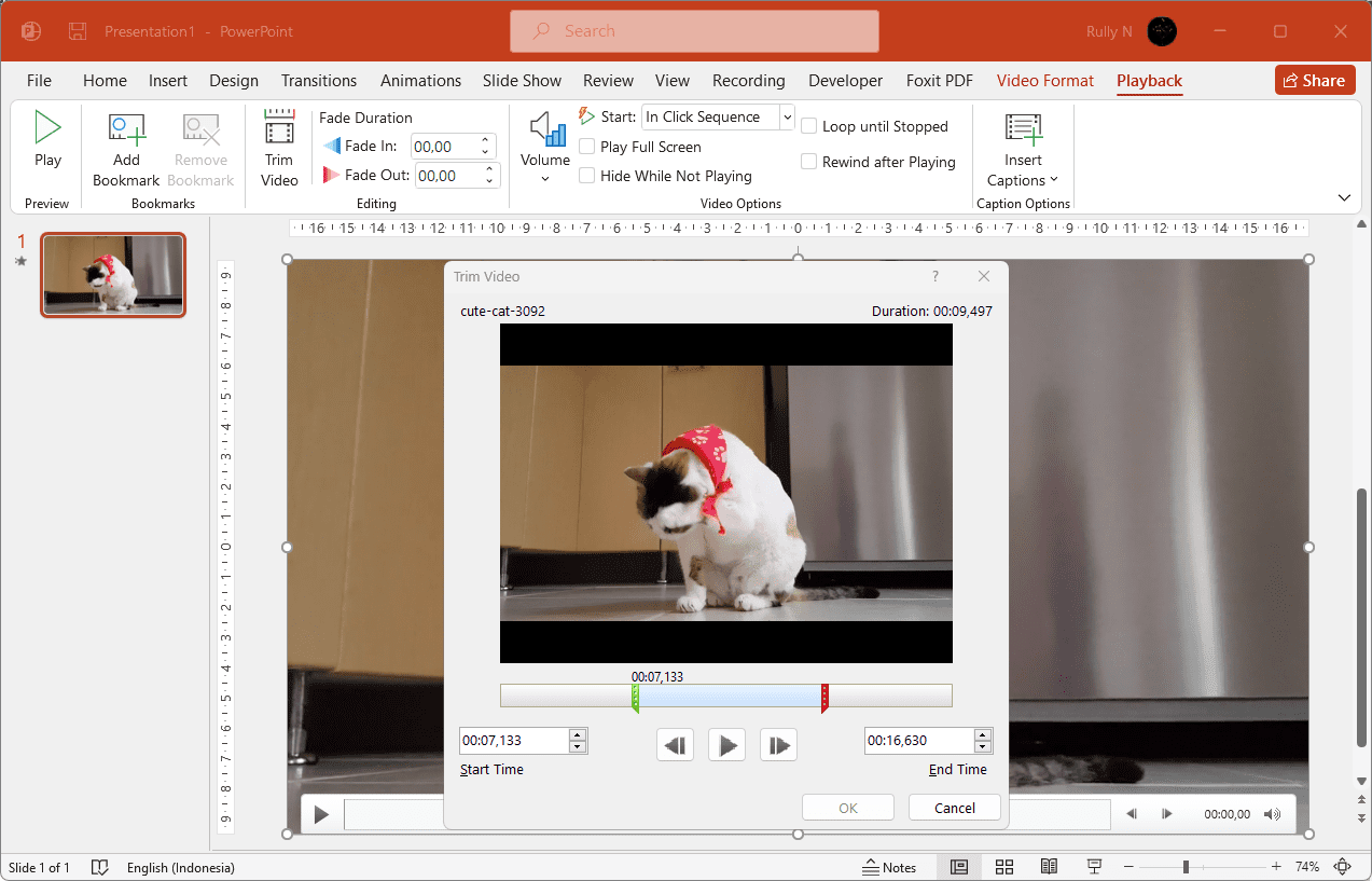 How to Trim a Video Easily with PowerPoint Vegaslide