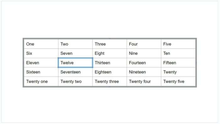 how-to-customize-table-borders-in-google-slides-vegaslide